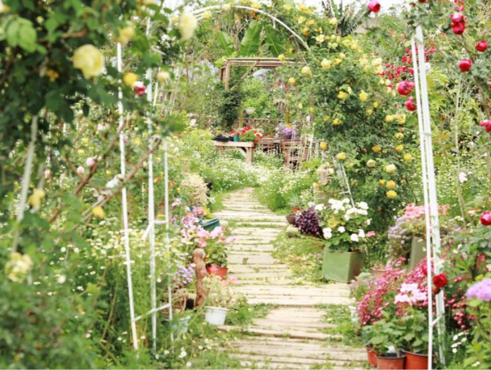 五一小众宝藏旅行地成都周边,成都旅行打卡地