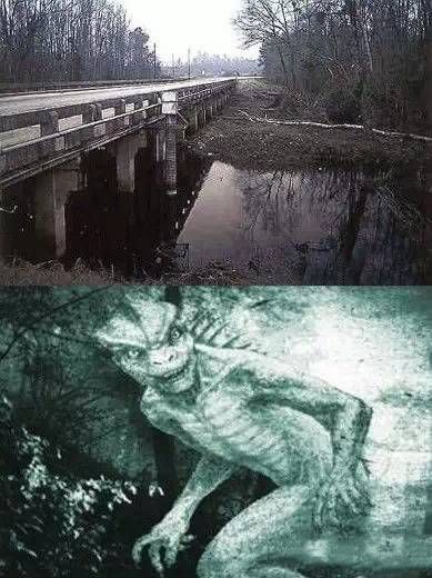 美国蜥蜴人是怎么回事,美国蜥蜴人存在吗