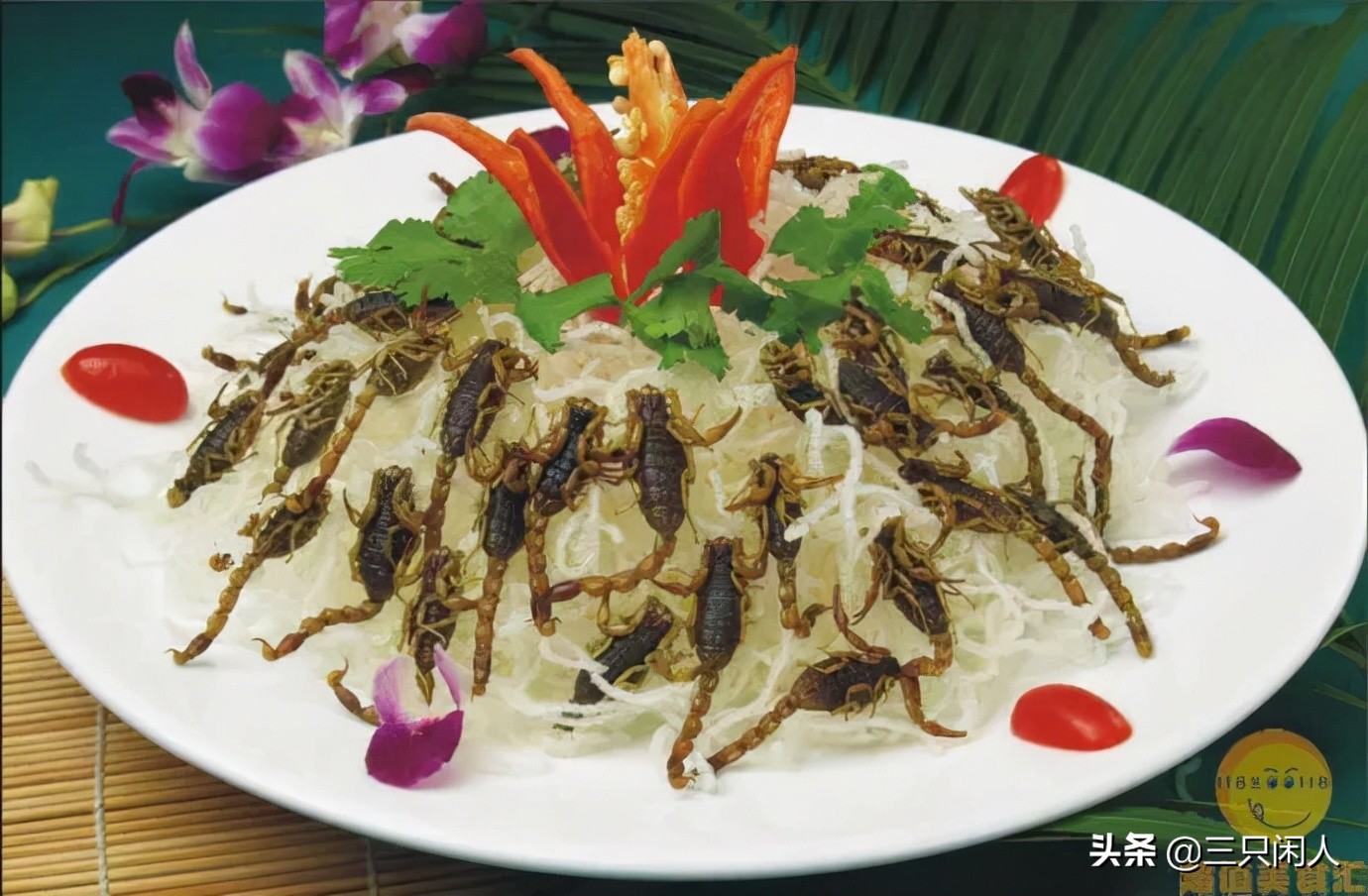 自然养蝎子300个平方能养多少蝎子,想养蝎子不知道蝎子好养还是难养