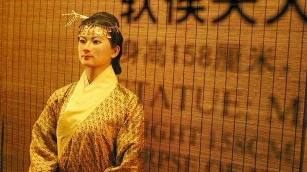 胆小鬼勿入深度解析,胆小勿进的秘密