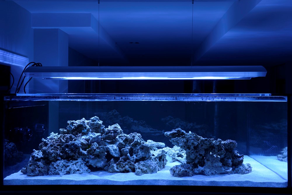 经典海水礁岩生态缸分享，180×120×60厘米三面观赏海缸