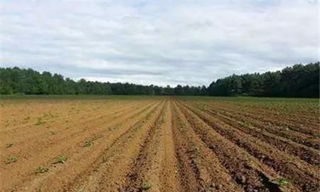 农田一亩是多大,农村农田一亩等于多少平方米