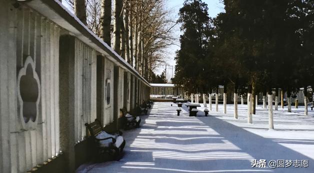 天津教育比较好的专科院校,2020年天津专科学校排名前十