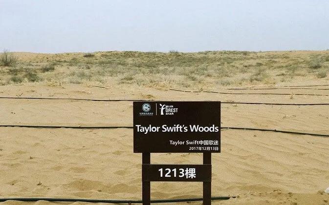 霉霉中国粉丝感谢信,老霉taylorswift