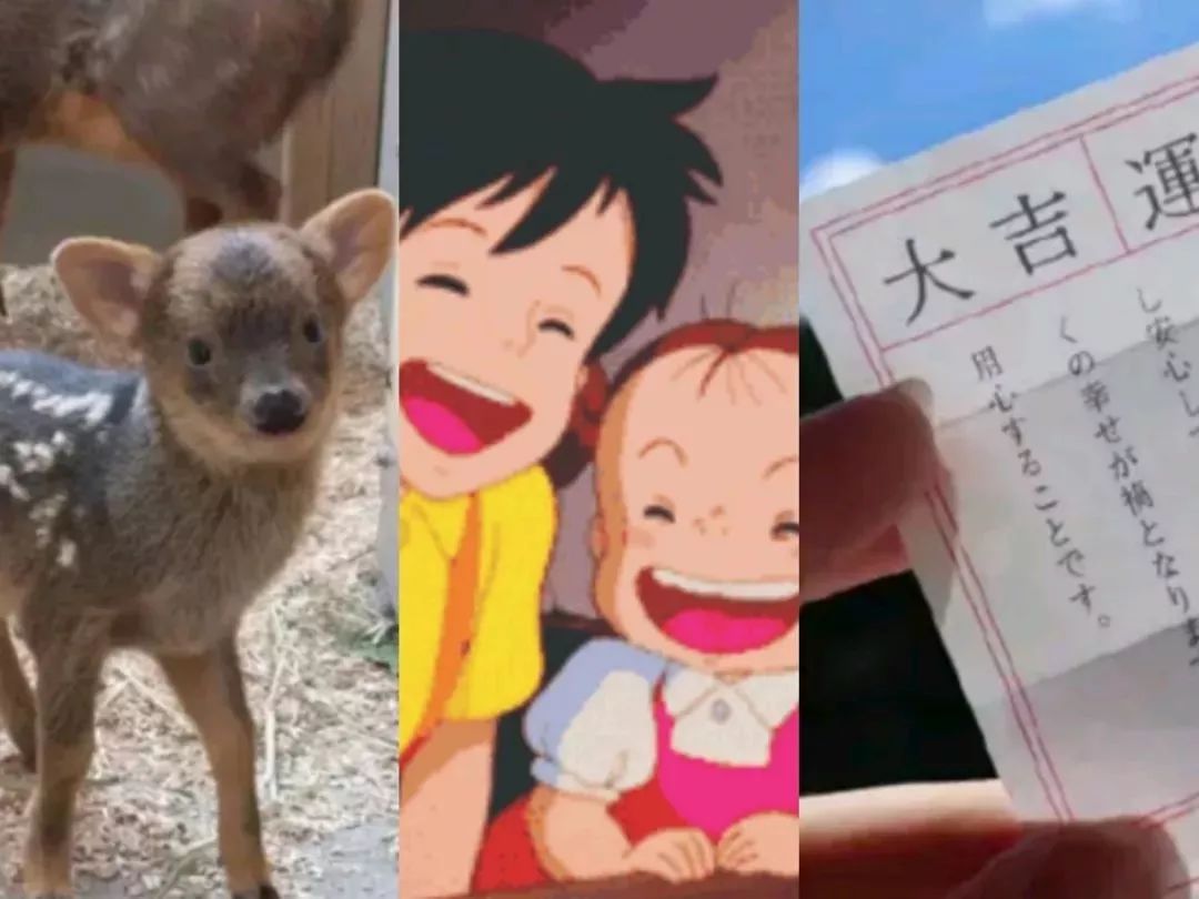 90后人会迷信吗,90后的迷信可靠吗