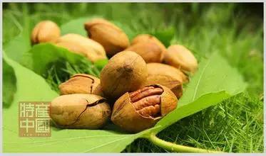 世界稀奇水果品种大全,世界热带奇特水果品种介绍