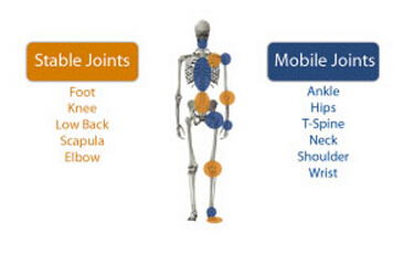 为什么练核心时会腰疼,练核心腰疼要不要接着练