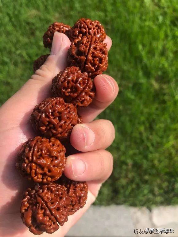 金刚最好的盘玩方法,金刚应该怎么盘