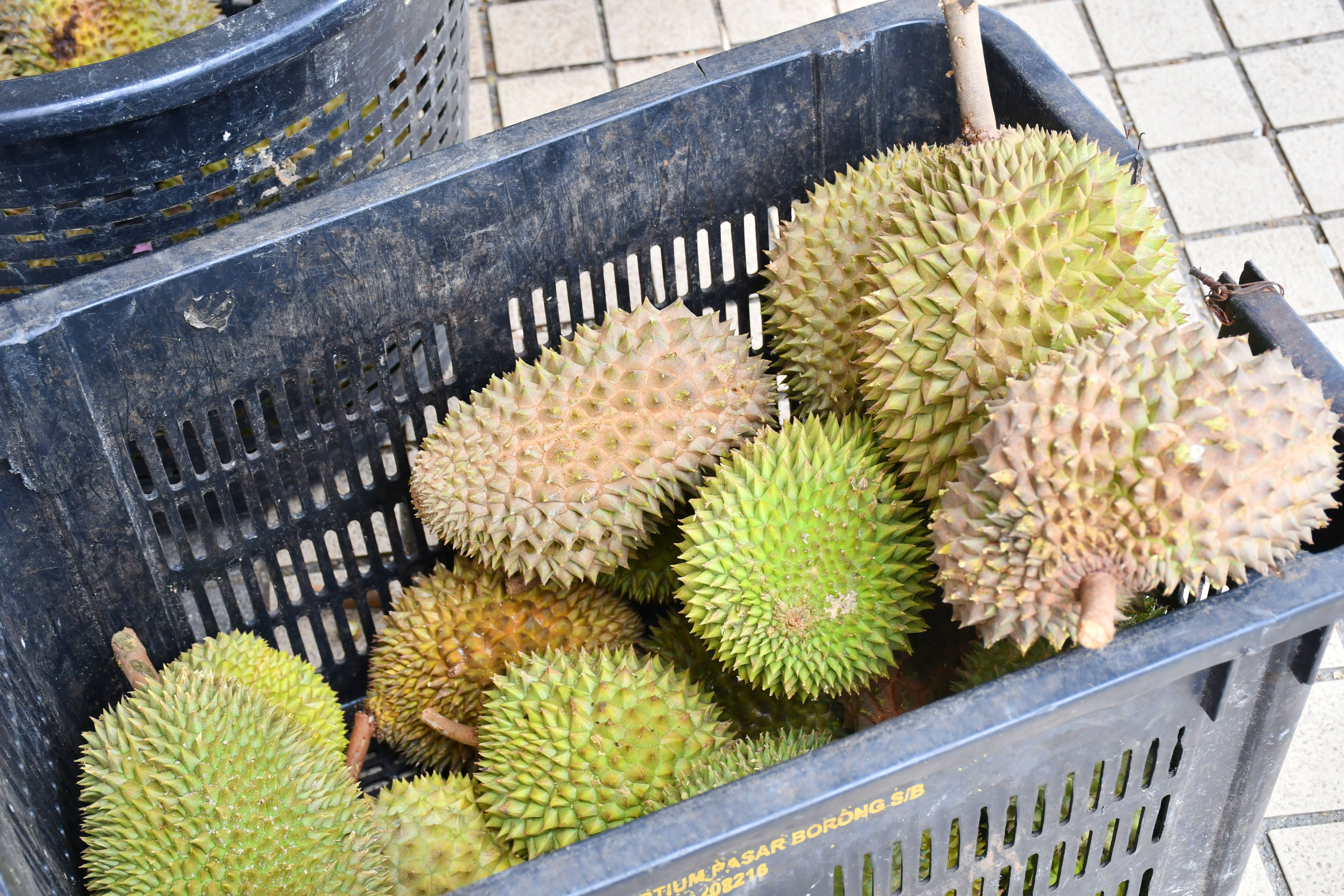 八月榴莲正当时，1Utama商场邀你参加DurianKawKaw榴莲美食派对