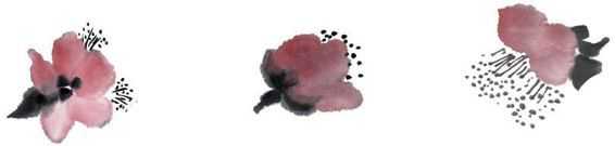 国画梅花上的雪画法步骤教程视频,零基础国画入门画梅花教程