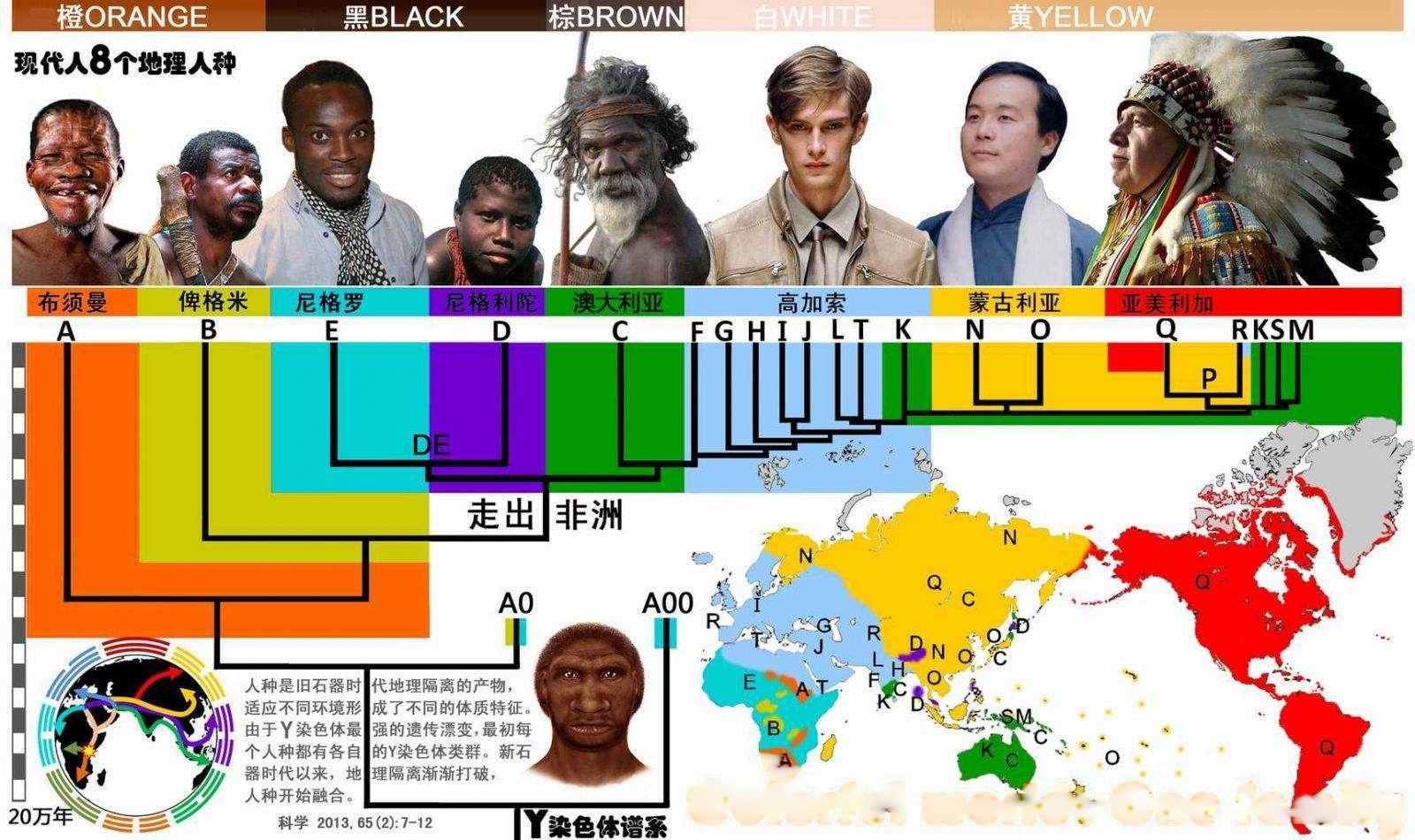 为何脱毛？114万年前人类褪去毛发，留下腋窝、阴毛究竟有啥用？