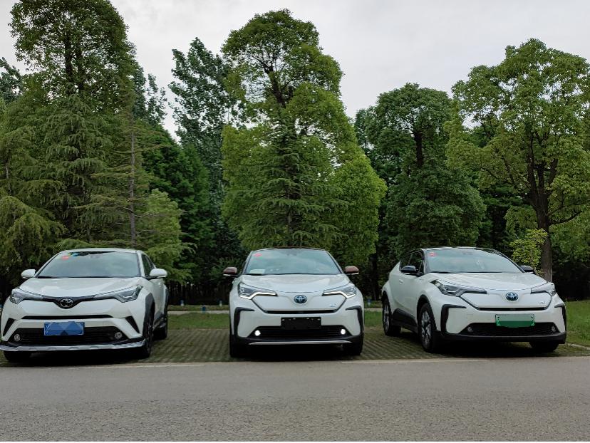 晓敏试驾丰田,晓敏试车