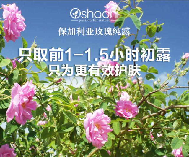 十大精油护肤品牌排行,精油脸部护肤有哪些大牌