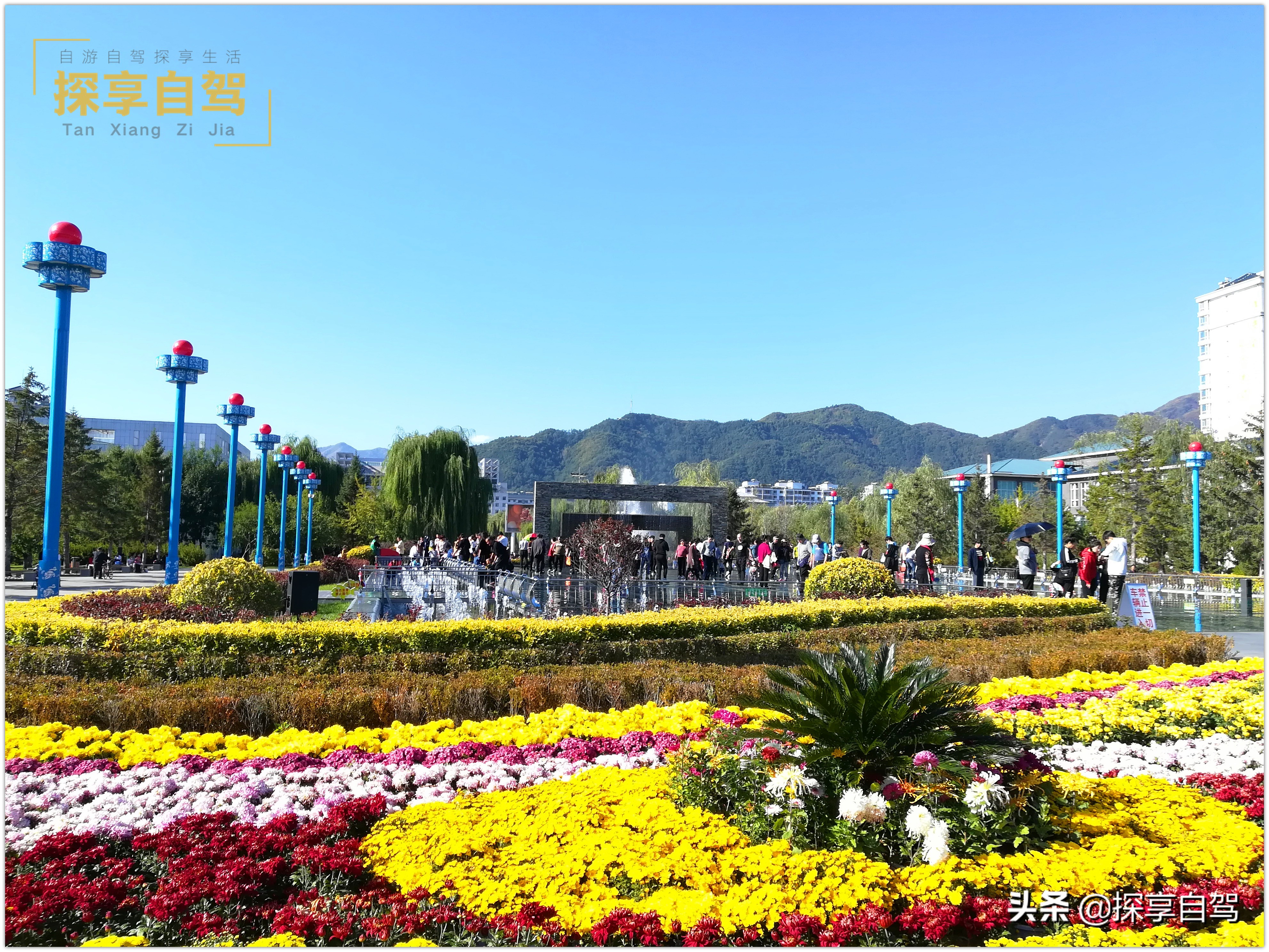 自驾游旅行社应该提供哪些项目,旅行社应当如何规避自驾游风险