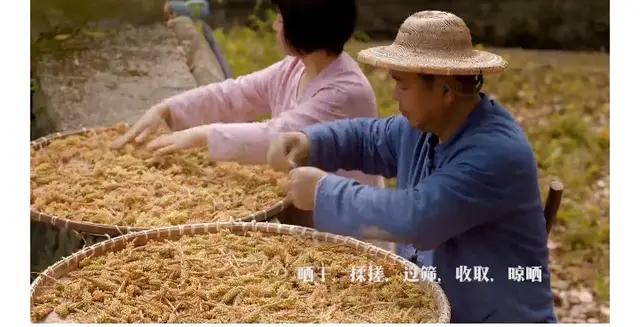 松花粉能和糯米粉一起煮吗,松花粉可以弄哪些美食