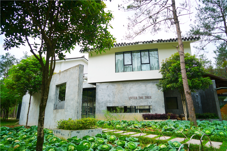 浙江温州的永嘉书院,真正的永嘉书院