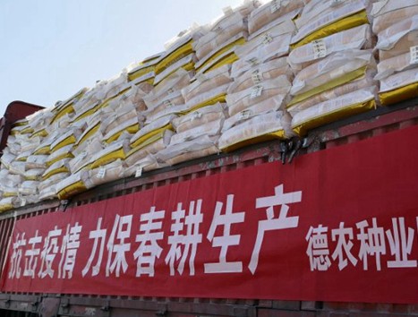 德农种业股份有限公司,德农种业专注种子