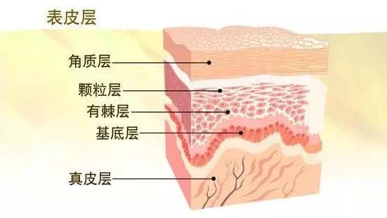省百万｜毁容烂脸、玉石缩阴！明星竟靠着这些反智产品赚2.5亿