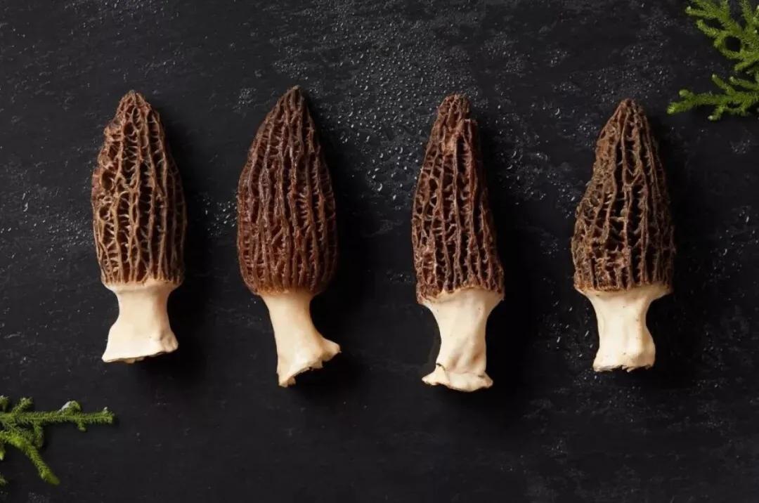 羊肚菌好吃又好看的做法,羊肚菌的四大名菌养生煲