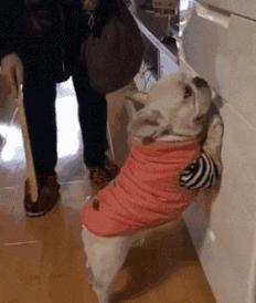 来大姨妈必备的100个小技巧,女生必看22条大姨妈常识