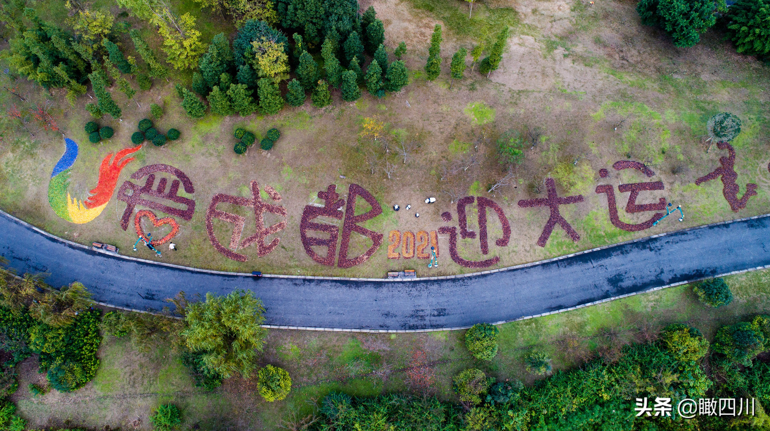 关于环卫工人的绘画作品,环卫工人落叶画