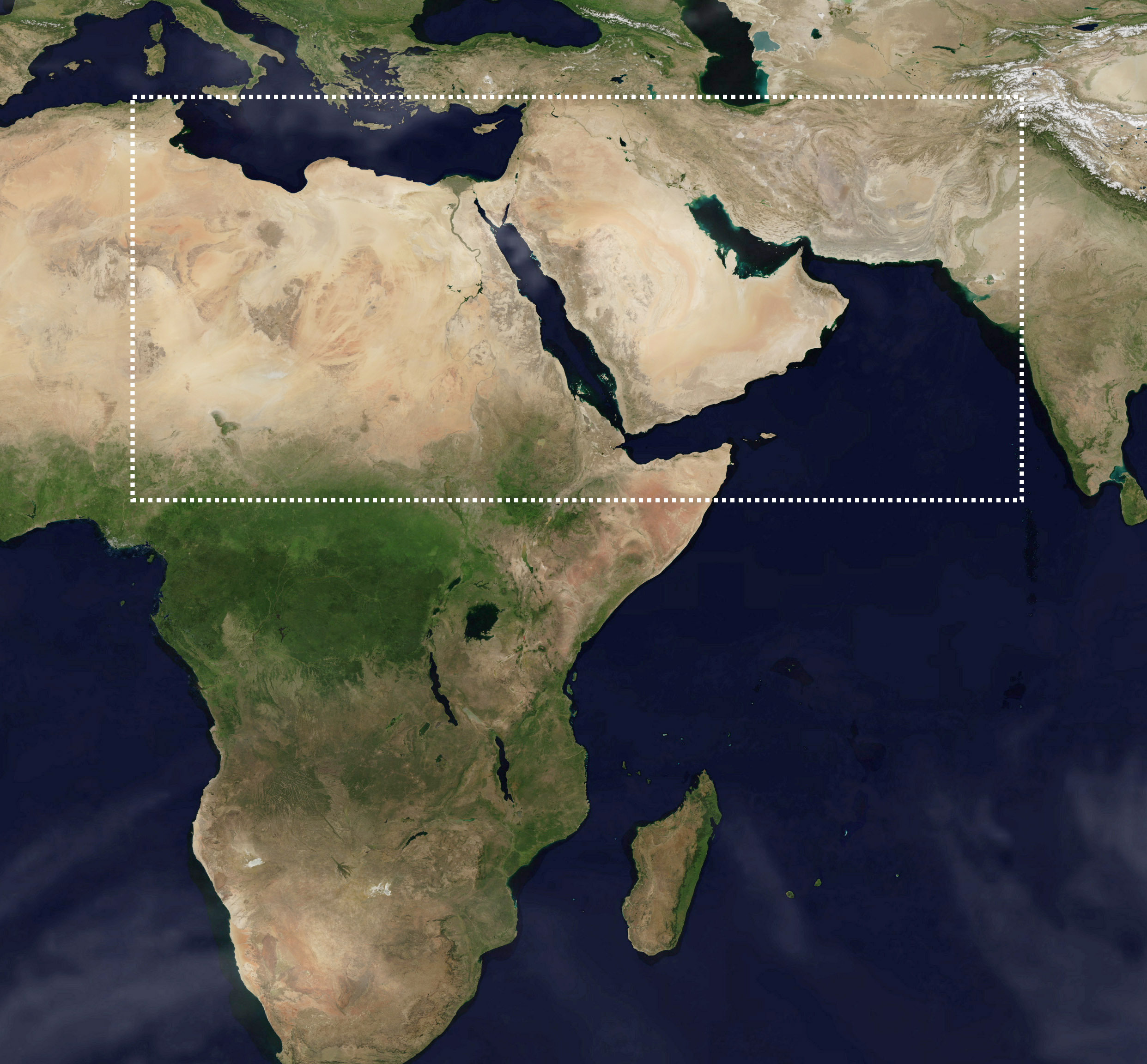 这次的蝗虫灾害为什么这么大,此次的蝗灾有多严重