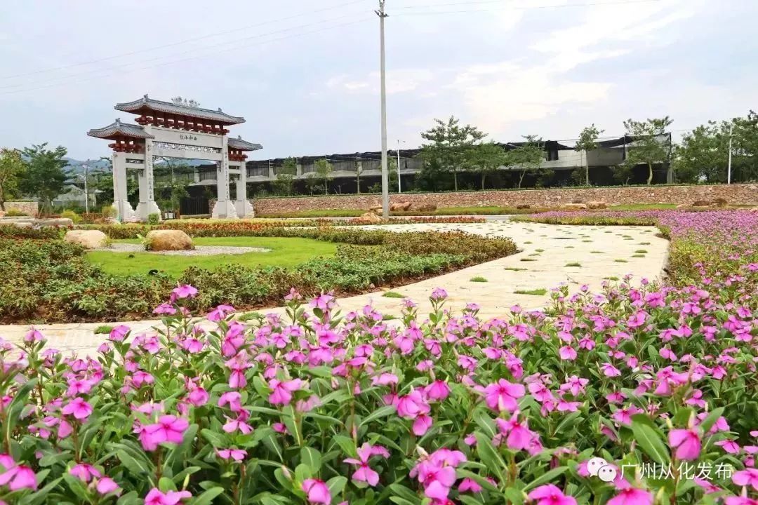 广州隐藏着一个碉楼村,广州有哪些隐藏的景点