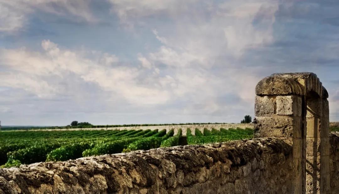 勃艮第最有名的五个葡萄园,勃艮第有多少个独占园