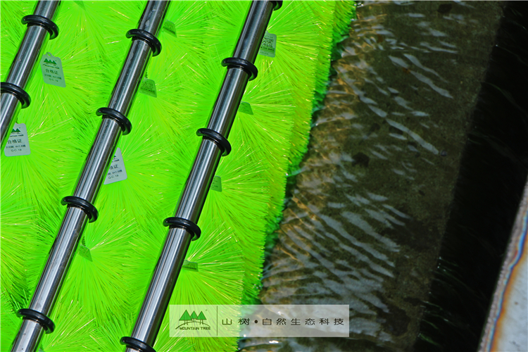 鱼池过滤刷作用,鱼池过滤解析