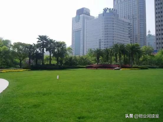 小区绿化养护一般做哪些工作,小区绿化养护需要什么资质