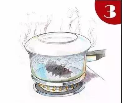 海参蒸蛋海参泡发的正确方法,海参咬不动海参泡发的正确方法