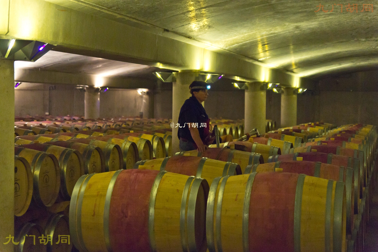 法国旅游葡萄酒庄,法国波尔多酒庄旅游攻略