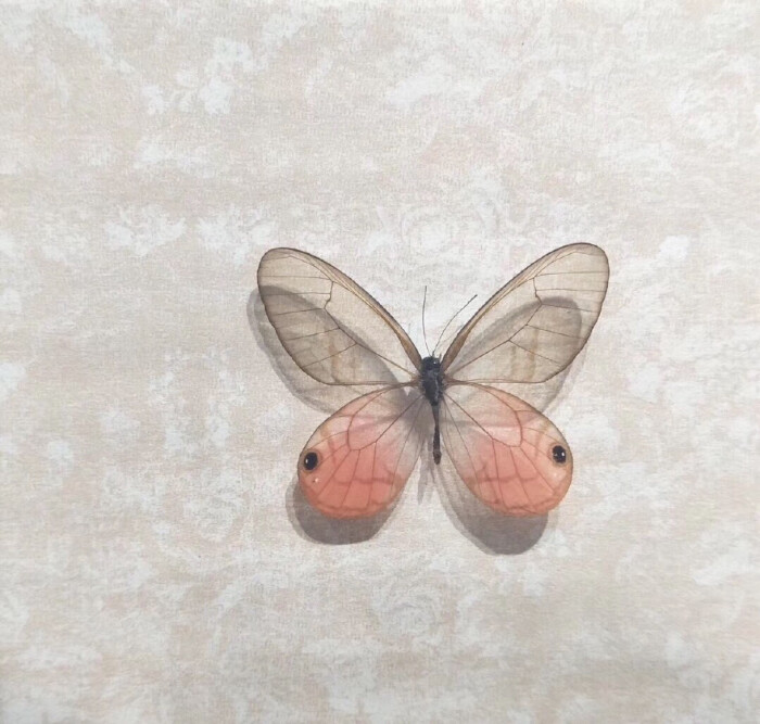 看电影喝奶茶发朋友圈文案,喝奶茶发朋友圈文案短句可爱