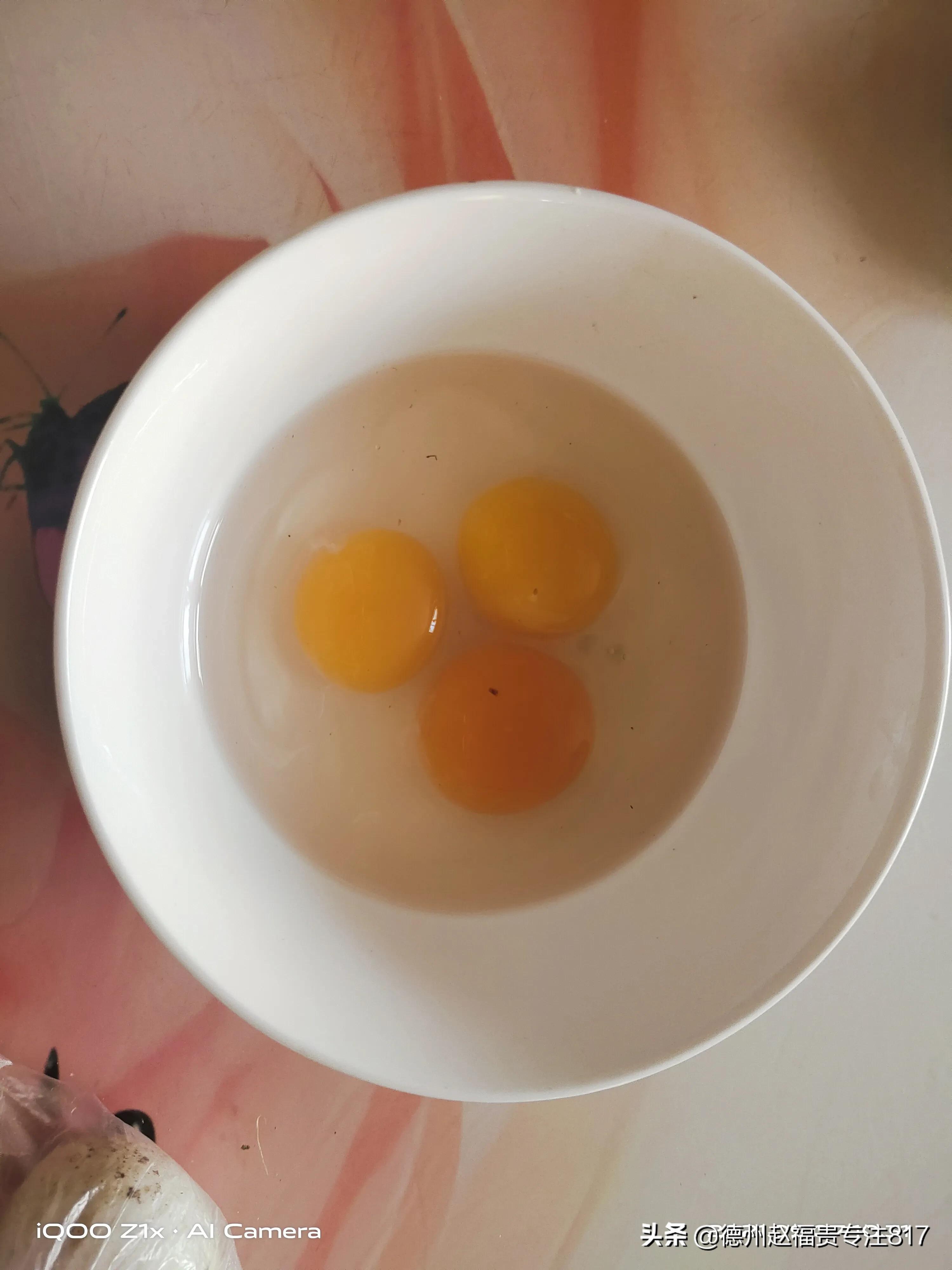 蛋鸭养殖设备全自动,蛋鸭养殖技术服务中心