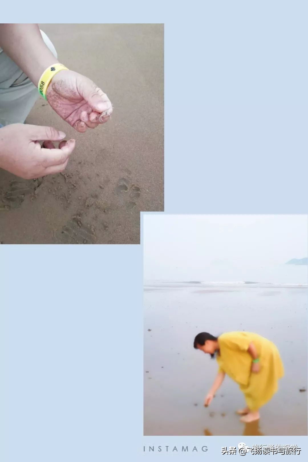 花鸟岛是个好地方,花屿花鸟岛