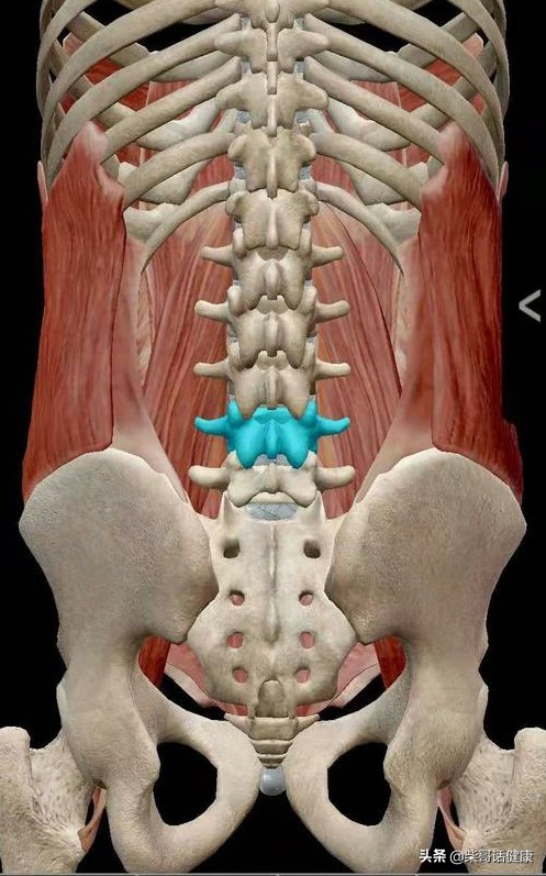 用3D来脊柱体表定位简单多了