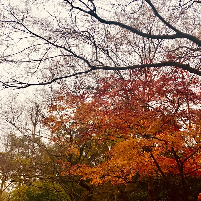 有始有终方能圆满2018年的告别行走