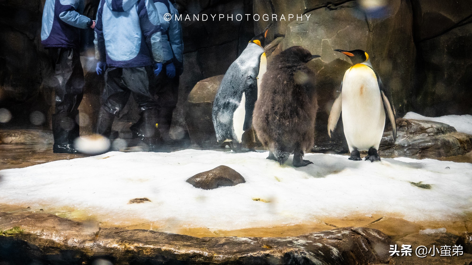 香港巡礼|是谁！敢拿水枪给20岁的海贼王庆生？