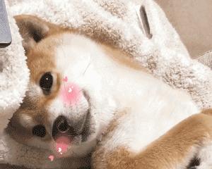 回购一百次！超好用的平价美白精华，谁说便宜没好货！