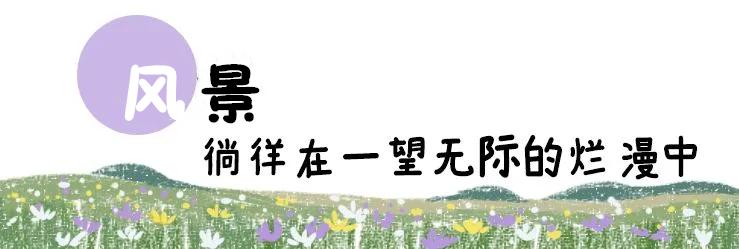 贵阳云漫湖旅游度假区,贵阳云漫湖房车