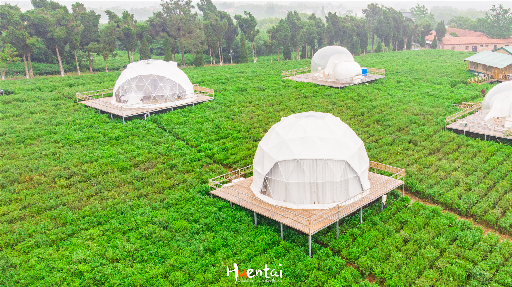 住星空帐篷吃土灶饭，看孔雀开屏，这个520就要来点不一样