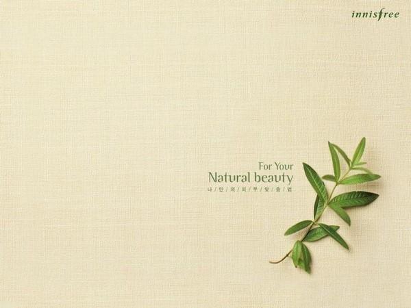 做ppt有什么好的背景图片,ppt背景图片无水印高清