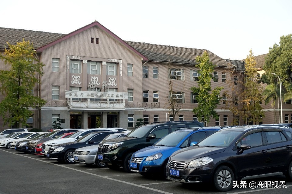 ［鹿眼视界·我的随拍］之346金牛宾馆，牛