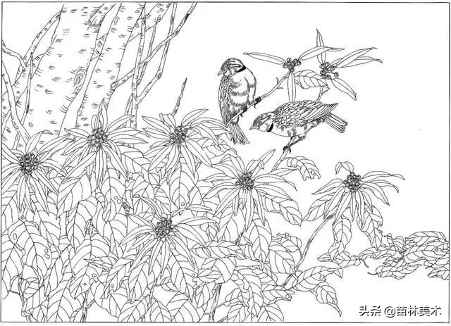 现代国画工笔花鸟白描及完整版,路雨年工笔白描花鸟团扇高清图片