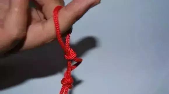 伯劳鸟饲养,没睁眼的伯劳怎样饲养