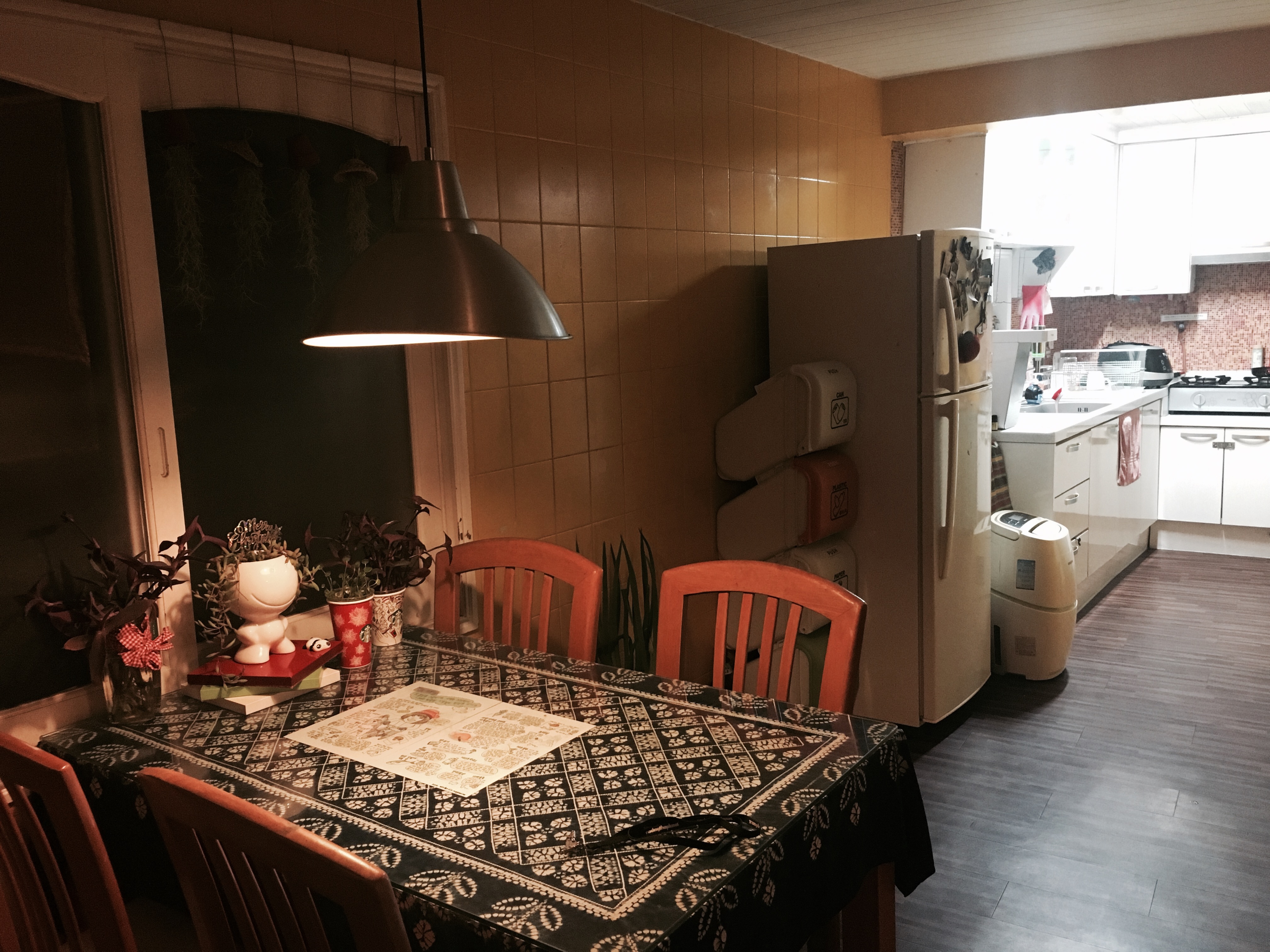 出国游玩新手小白,出国去韩国济州岛打工