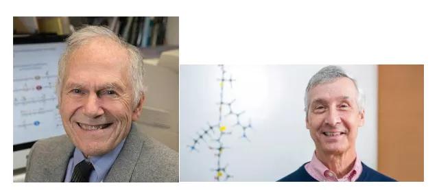 一个“异端邪说”是如何一步步走到聚光灯下?