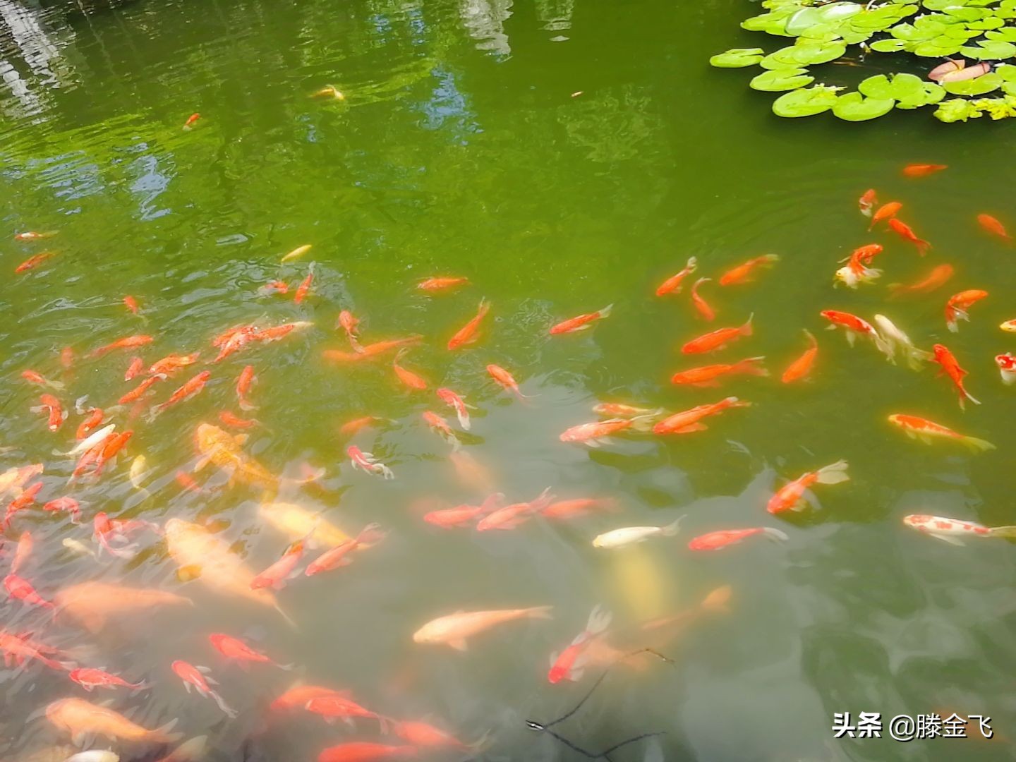 威海华夏城景区,威海华夏城简介