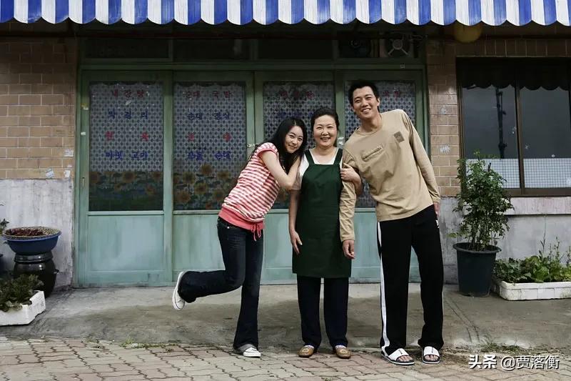 揭秘向日葵背后的寓意及文化渊源,描述向日葵的象征和意义