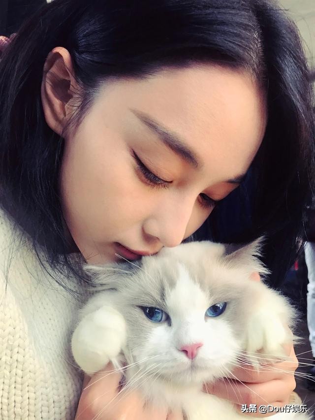 张馨予网购被骗,张馨予找代购被骗